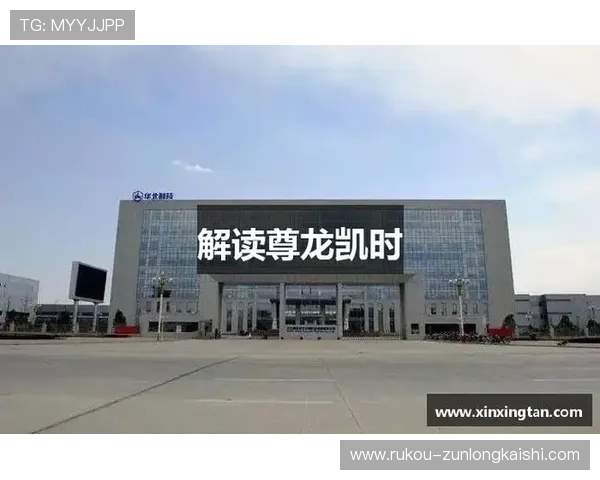 尊龙凯时集团：企业文化与社会责任的深度融合之路